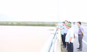 Phó Chủ tịch UBND tỉnh Nghiêm Xuân Cường kiểm tra công tác khắc phục cơn bão số 3 tại TX Quảng Yên