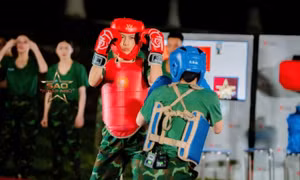 Phương Anh Đào xin lỗi