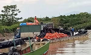 Móng Cái: Bắt giữ, xử lý 385 vụ buôn lậu, vận chuyển trái phép hàng hóa