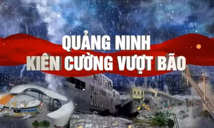 Quảng Ninh kiên cường vượt bão