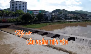 Ký ức Cầu ngầm Tiên Yên