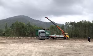 Cơ sở chế biến dăm gỗ trái phép tại xã Hồng Thái Đông (TX Đông Triều) đã hoàn thành việc tháo dỡ, di dời