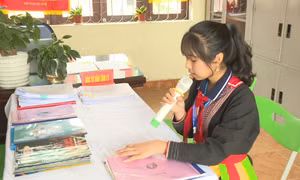Giáo dục giới tính trong trường học 