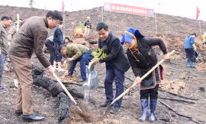 Vì mục tiêu sinh kế bền vững