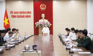 UBND tỉnh nghe và cho ý kiến Đề án tổng thể bảo đảm nguồn vật liệu san lấp