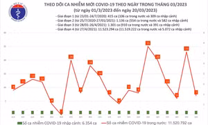 Ngày 20/3: Dịch COVID-19 trong 24h qua có thông tin gì?