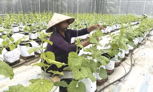 Thay đổi tư duy để sản xuất an toàn