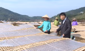 Xây dựng nông thôn mới giàu đẹp, văn minh, hiện đại
