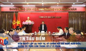 Kiên quyết lập lại trật tự, kỷ cương đối với nghề nuôi biển, không có vùng cấm trong xử lý vi phạm
