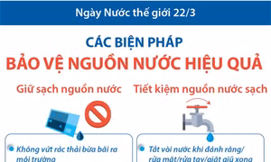 Ngày Nước thế giới 22/3: Các biện pháp bảo vệ nguồn nước hiệu quả