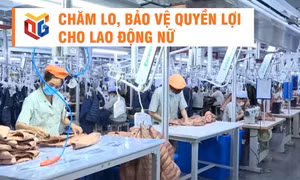 Chăm lo, bảo vệ quyền lợi cho lao động nữ