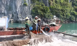 Những cái khó của việc thay thế vật liệu nổi trong nuôi trồng thủy sản