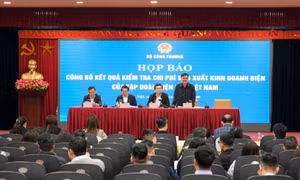 Làm rõ khoản lỗ 36.294,15 tỷ đồng năm 2022 của Tập đoàn Điện lực Việt Nam 