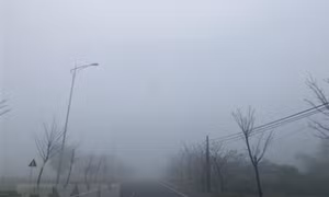 Các tỉnh khu vực Bắc Bộ có sương mù, trời lạnh về đêm và sáng sớm