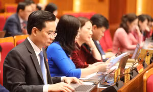 HĐND tỉnh nghe các báo cáo, tờ trình