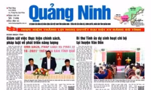 Mời tham gia gói thầu Tư vấn đấu thầu