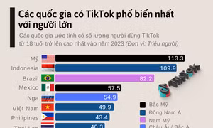 Các quốc gia có TikTok phổ biến nhất với người lớn
