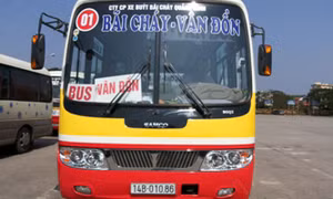 Tăng cường công tác kiểm tra hoạt động của xe buýt trên các tuyến để kịp thời xử lý vi phạm