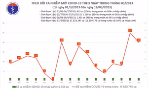 Ngày 16/3: Có 20 ca COVID-19 mới, bệnh nhân nặng tăng nhanh