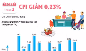 Chỉ số giá tiêu dùng tháng 3 năm 2023 giảm 0,23%