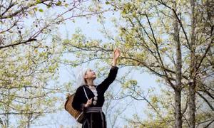 Du khách mê mẩn chiêm ngưỡng mùa hoa lê phủ trắng núi rừng Tuyên Quang