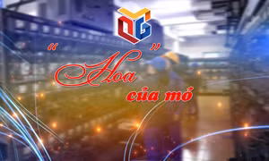 "Hoa" ở Mỏ