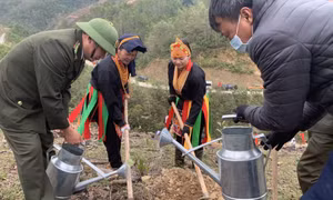 Hội Nông dân: Đẩy mạnh hỗ trợ, đồng hành 