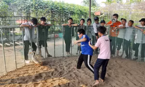 Khám phá, trải nghiệm tại Quảng Ninh Gate
