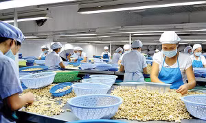 Doanh nghiệp nỗ lực khai thác thị trường mới