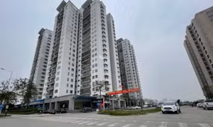 Xác định giá thị trường không đơn giản