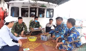 Tập trung các giải pháp giúp ngành thủy sản sớm gỡ “thẻ vàng” của EC