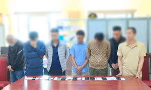 Sơn La khởi tố vụ đánh bạc qua mạng với số tiền lên đến hàng trăm tỷ đồng