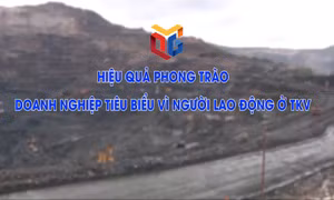 Hiệu quả phong trào Doanh nghiệp tiêu biểu vì người lao động ở TKV