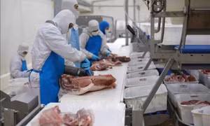 CPI quý I/2023 ước tăng 4,2 - 4,3% so với cùng kỳ năm ngoái