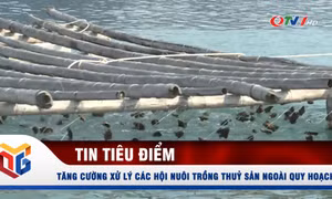 Tăng cường xử lý các hội nuôi trồng thuỷ sản ngoài quy hoạch