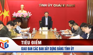 Giao ban các Ban xây dựng Đảng Tỉnh uỷ