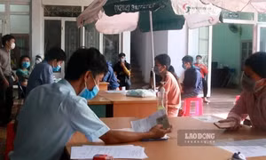 Luật thuế Thu nhập cá nhân: Kiến nghị sửa đổi toàn diện