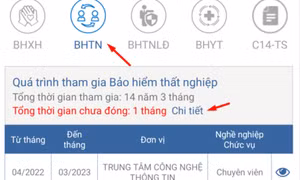Cách xem thời gian chưa đóng BHXH, bảo hiểm thất nghiệp trên app VssID