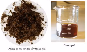 Biến bã cà phê thành dầu, đường sinh học