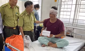 Truy bắt nhóm lâm tặc chém trọng thương 3 kiểm lâm vườn quốc gia Cát Tiên
