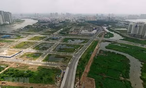 Góp ý Dự thảo Luật Đất đai (sửa đổi): Đề xuất bỏ quy định về hộ gia đình để tránh tranh chấp 