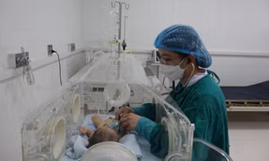 Cứu sống bệnh nhi sơ sinh sốc nhiễm khuẩn, suy đa tạng nguy kịch