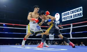 Võ sỹ Nguyễn Ngọc Hải giành đai vô địch WBA Nam Á