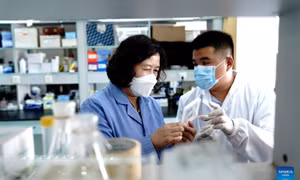 Công nghệ in 3D sinh học giúp tái tạo mô