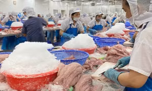 Tin vui hàng Việt xuất khẩu, dự báo lập kỷ lục 800 tỷ USD