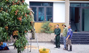 CCB Uông Bí: Gương mẫu trong các phong trào thi đua