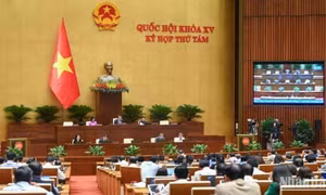 Thông cáo báo chí số 5, Kỳ họp thứ 8, Quốc hội khóa XV