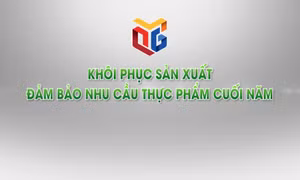 Khôi phục sản xuất đảm bảo nhu cầu thực phẩm cuối năm