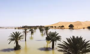 Mưa kỷ lục gây ngập một phần sa mạc Sahara