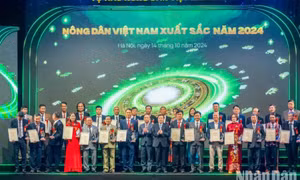 Phấn đấu có nhiều hơn hộ sản xuất kinh doanh giỏi, hợp tác xã nông nghiệp thành đạt